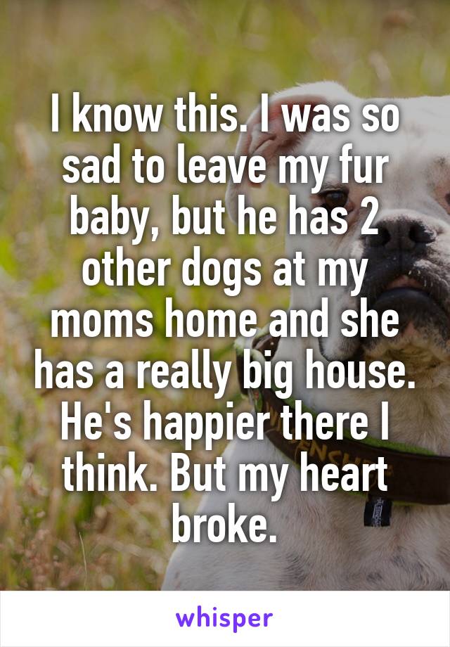 I know this. I was so sad to leave my fur baby, but he has 2 other dogs at my moms home and she has a really big house. He's happier there I think. But my heart broke.