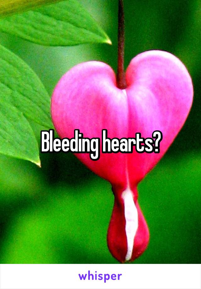 Bleeding hearts?