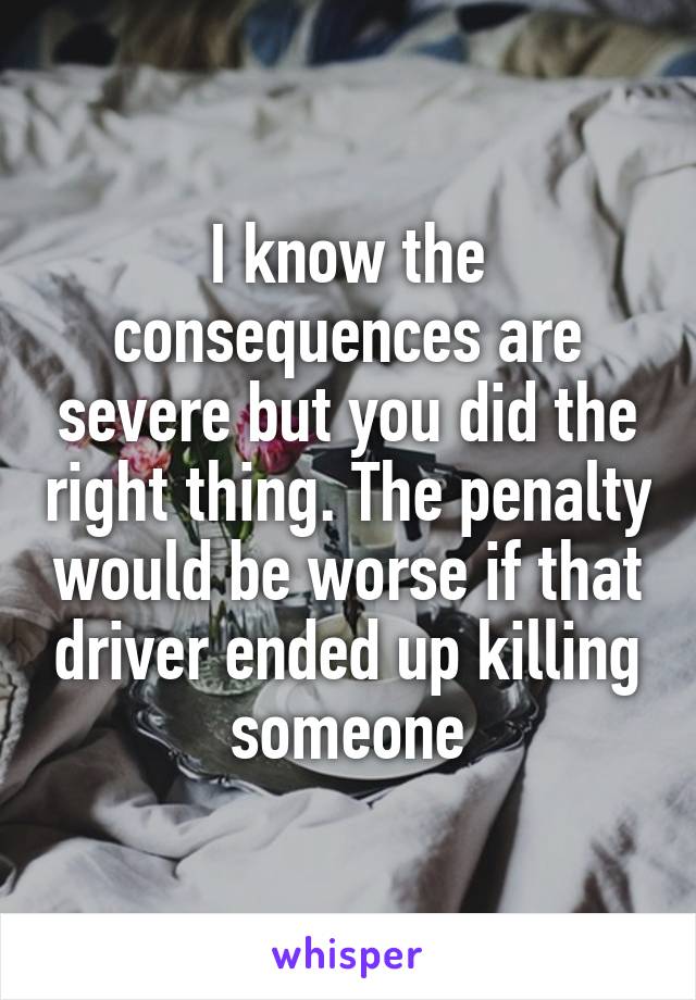 I know the consequences are severe but you did the right thing. The penalty would be worse if that driver ended up killing someone