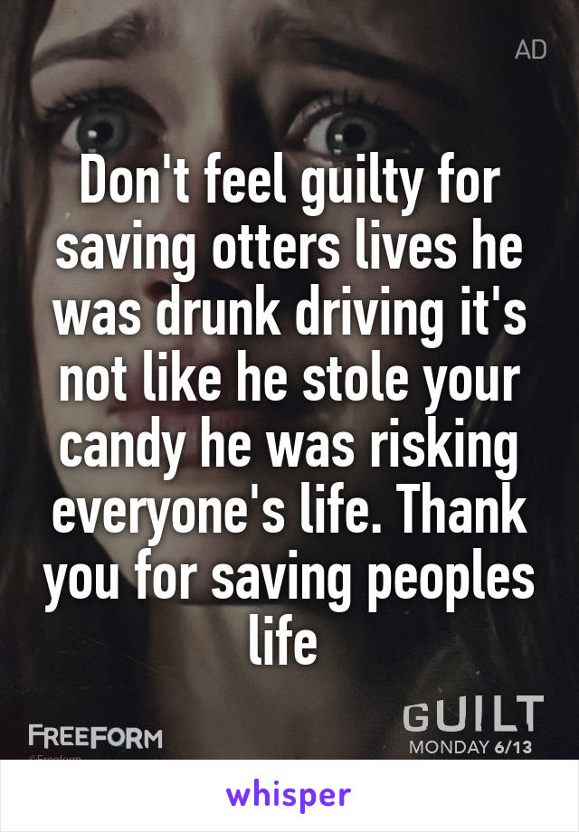 Don't feel guilty for saving otters lives he was drunk driving it's not like he stole your candy he was risking everyone's life. Thank you for saving peoples life 