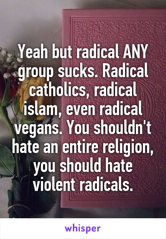 Yeah but radical ANY group sucks. Radical catholics, radical islam, even radical vegans. You shouldn't hate an entire religion, you should hate violent radicals.