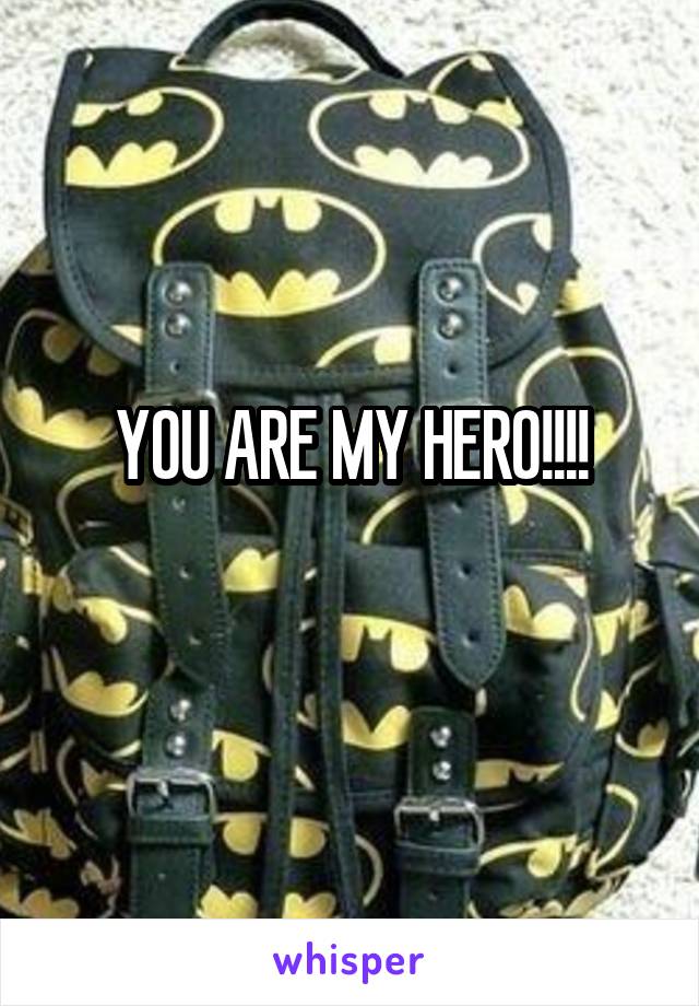 YOU ARE MY HERO!!!!
