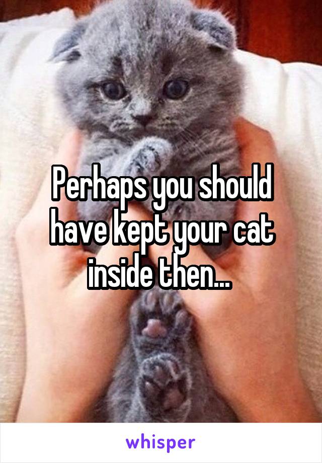 Perhaps you should have kept your cat inside then... 