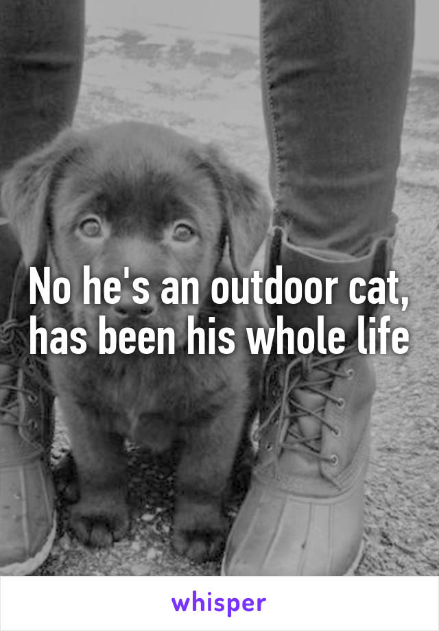 No he's an outdoor cat, has been his whole life