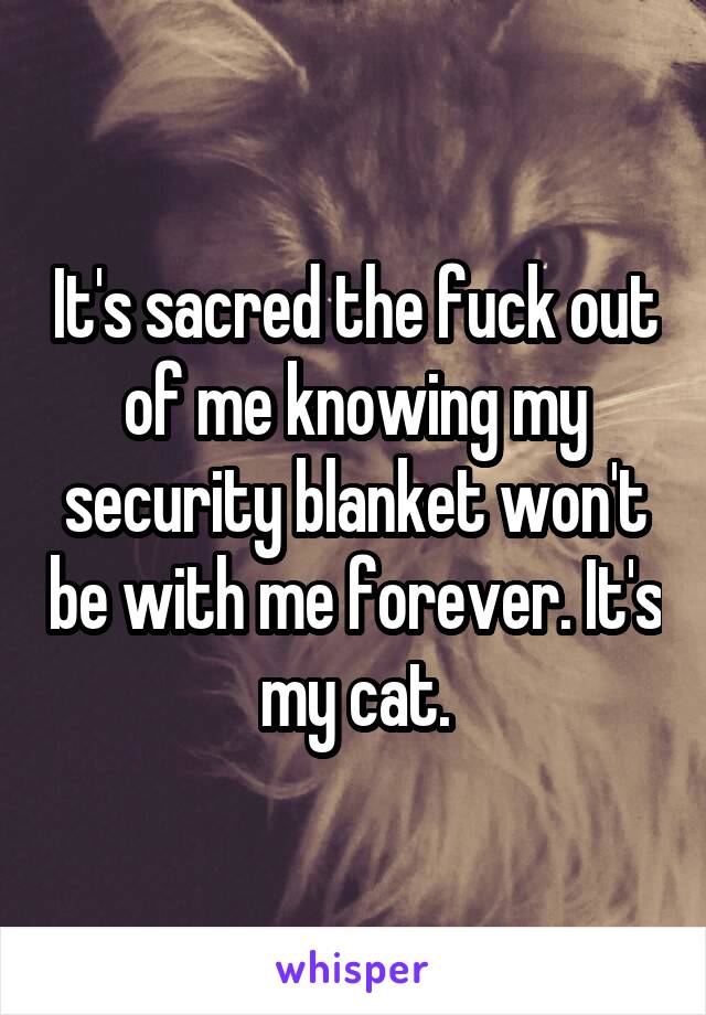 It's sacred the fuck out of me knowing my security blanket won't be with me forever. It's my cat.