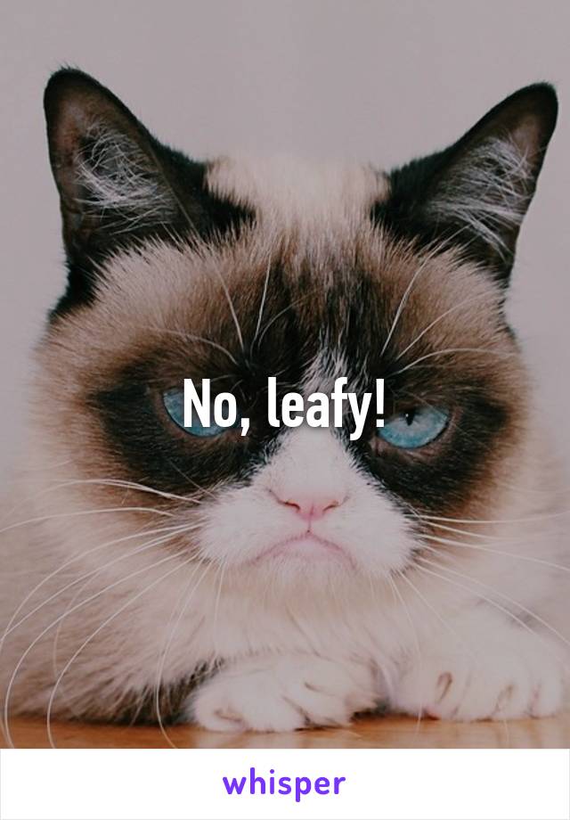 No, leafy!