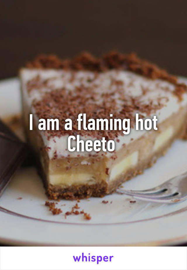 I am a flaming hot Cheeto 