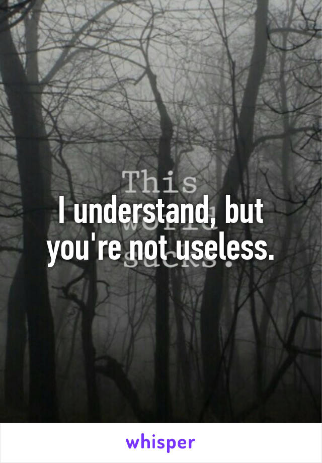 I understand, but you're not useless.