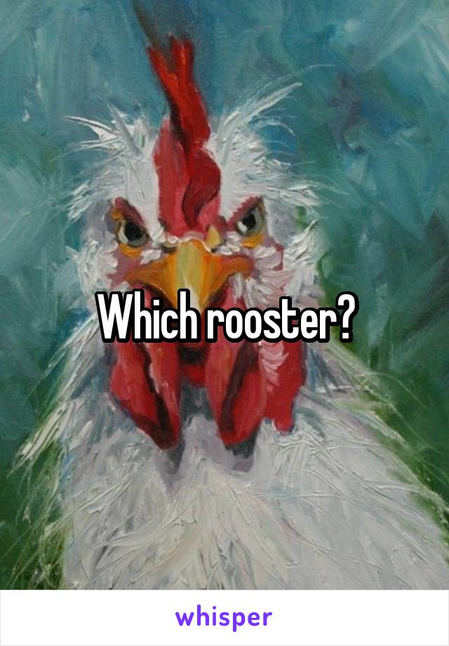 Which rooster?