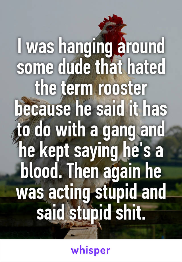 I was hanging around some dude that hated the term rooster because he said it has to do with a gang and he kept saying he's a blood. Then again he was acting stupid and said stupid shit.