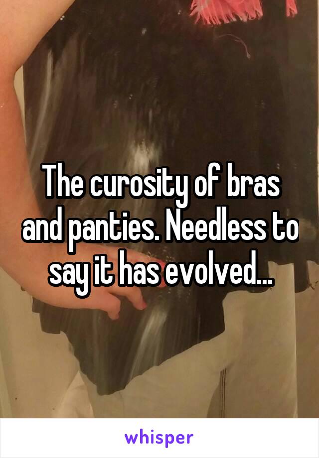 The curosity of bras and panties. Needless to say it has evolved...