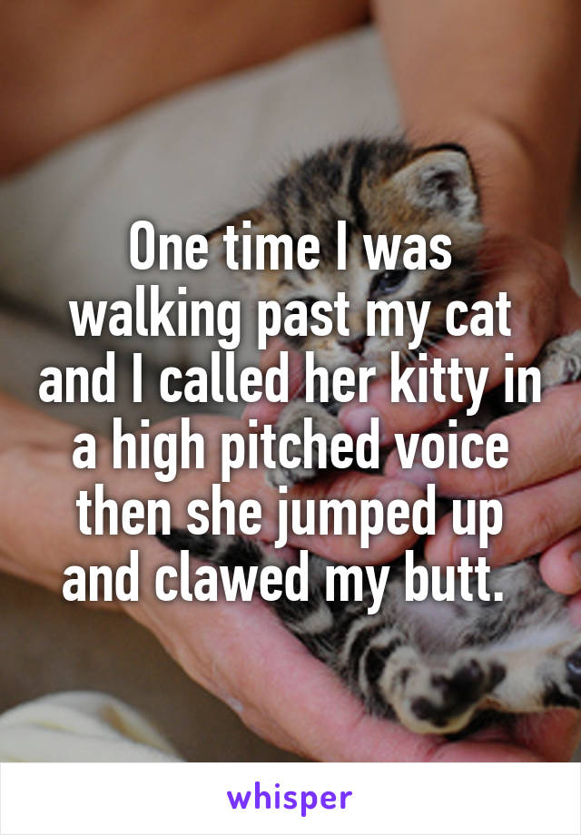 One time I was walking past my cat and I called her kitty in a high pitched voice then she jumped up and clawed my butt. 