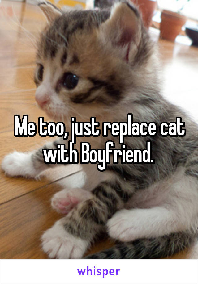 Me too, just replace cat with Boyfriend. 