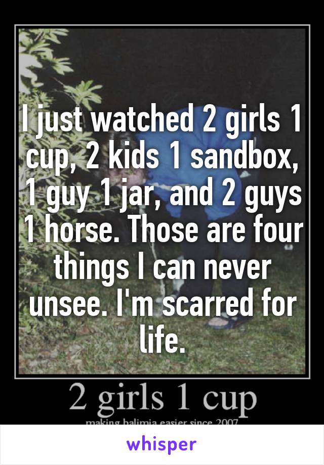 I just watched 2 girls 1 cup, 2 kids 1 sandbox, 1 guy 1 jar, and 2 guys 1 horse. Those are four things I can never unsee. I'm scarred for life.
