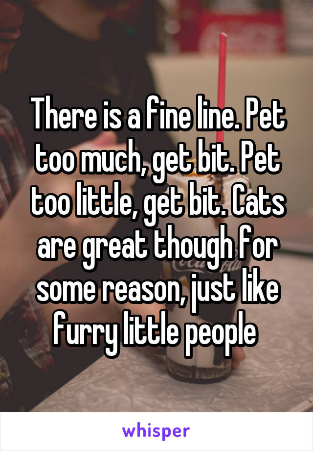 There is a fine line. Pet too much, get bit. Pet too little, get bit. Cats are great though for some reason, just like furry little people 