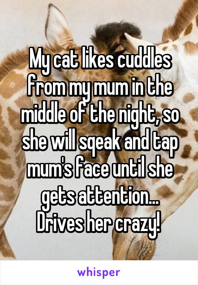 My cat likes cuddles from my mum in the middle of the night, so she will sqeak and tap mum's face until she gets attention...
Drives her crazy! 