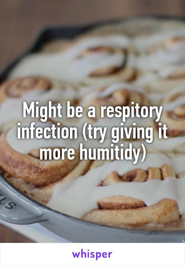 Might be a respitory infection (try giving it more humitidy)