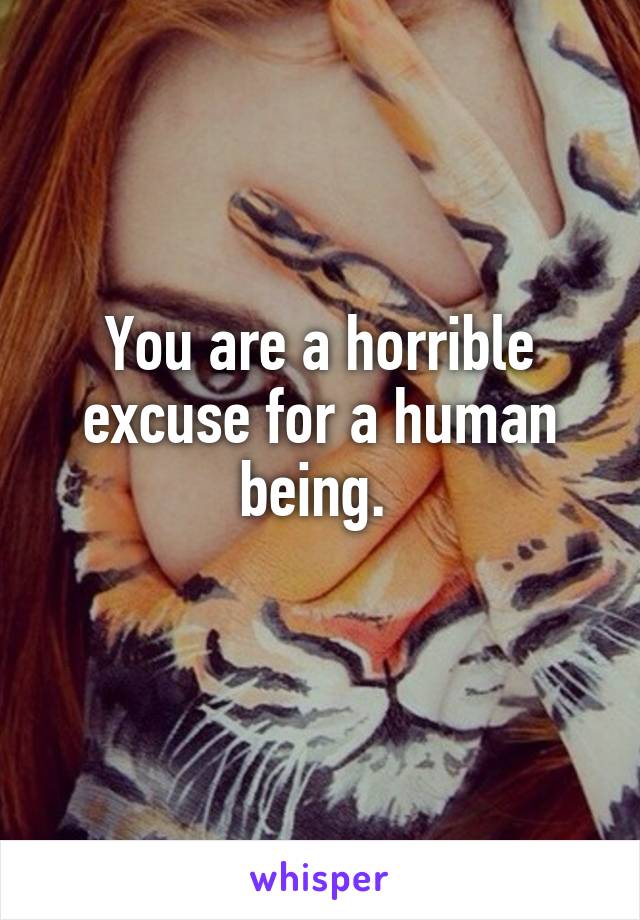 You are a horrible excuse for a human being. 
