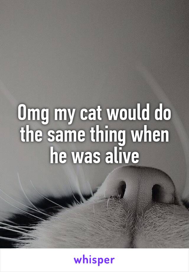 Omg my cat would do the same thing when he was alive