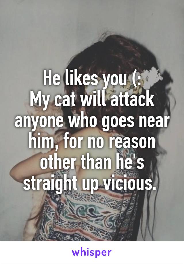 He likes you (:
My cat will attack anyone who goes near him, for no reason other than he's straight up vicious. 