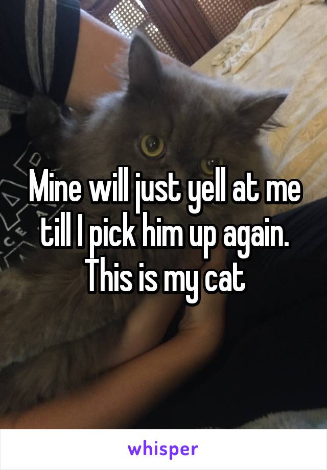 Mine will just yell at me till I pick him up again. This is my cat