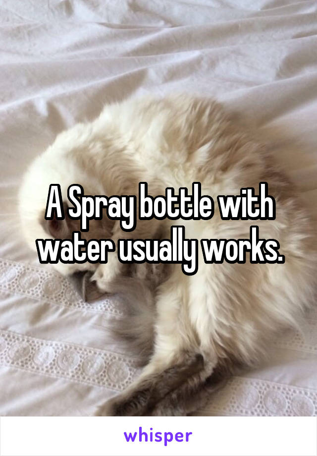 A Spray bottle with water usually works.