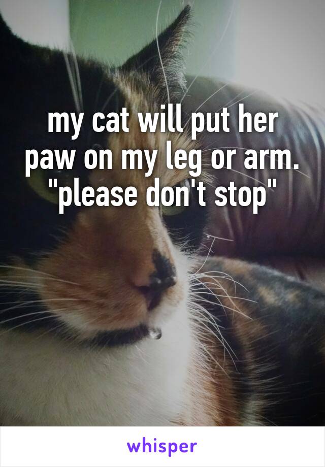 my cat will put her paw on my leg or arm.
"please don't stop"



