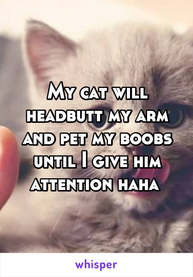 My cat will headbutt my arm and pet my boobs until I give him attention haha 