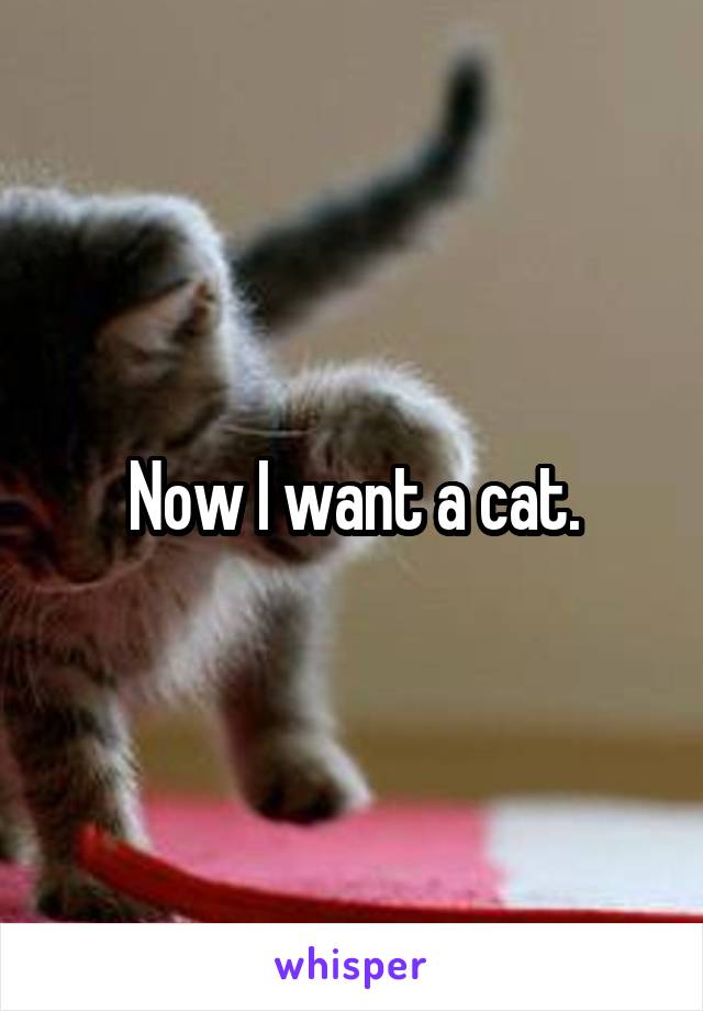 Now I want a cat.