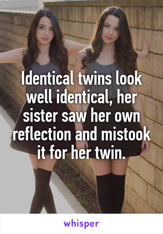 Identical twins look well identical, her sister saw her own reflection and mistook it for her twin.