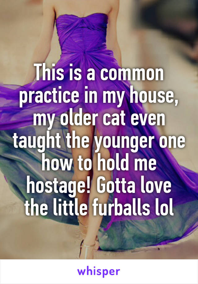 This is a common practice in my house, my older cat even taught the younger one how to hold me hostage! Gotta love the little furballs lol