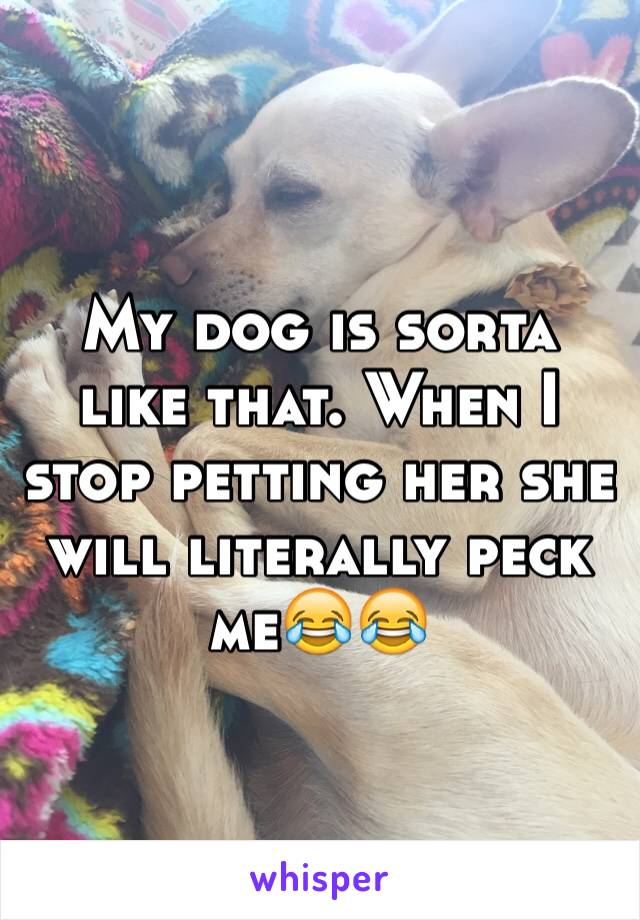 My dog is sorta like that. When I stop petting her she will literally peck me😂😂