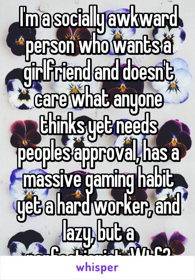 I'm a socially awkward person who wants a girlfriend and doesn't care what anyone thinks yet needs peoples approval, has a massive gaming habit yet a hard worker, and lazy, but a perfectionist. Wtf?