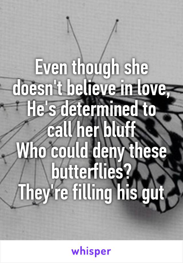 Even though she doesn't believe in love,
He's determined to call her bluff
Who could deny these butterflies?
They're filling his gut