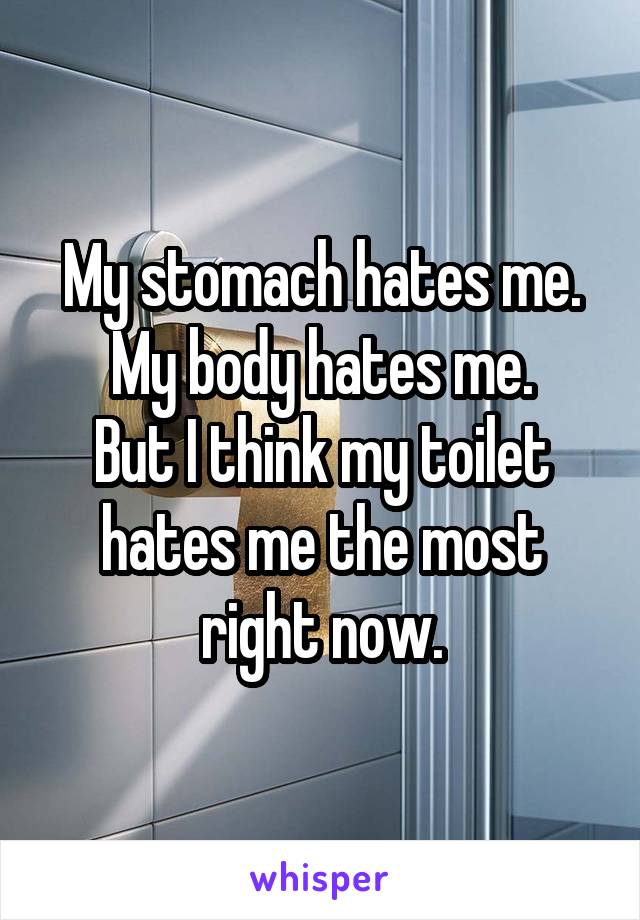 My stomach hates me.
My body hates me.
But I think my toilet hates me the most right now.