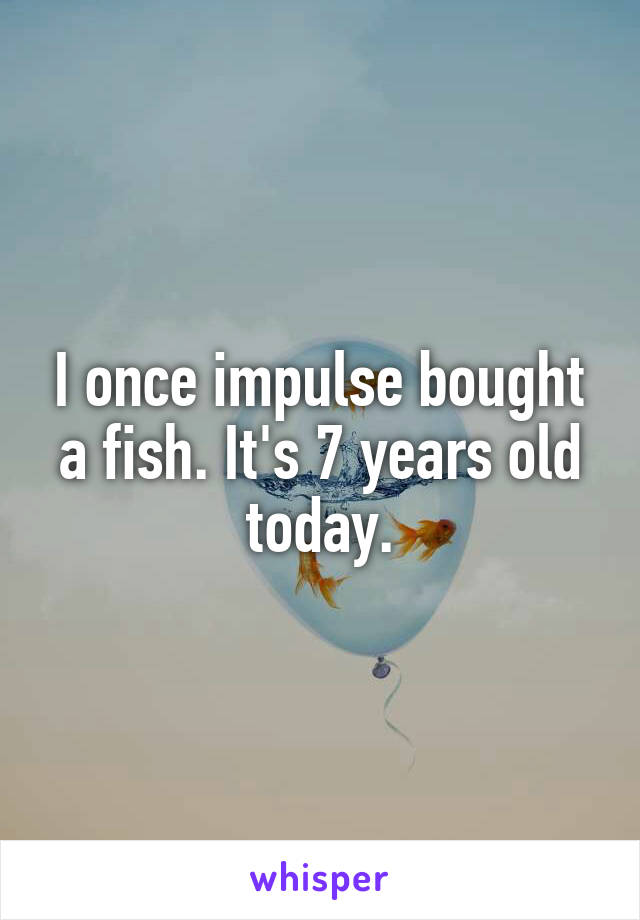 I once impulse bought a fish. It's 7 years old today.