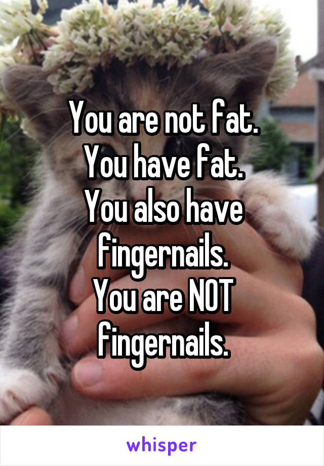 You are not fat.
You have fat.
You also have fingernails.
You are NOT fingernails.