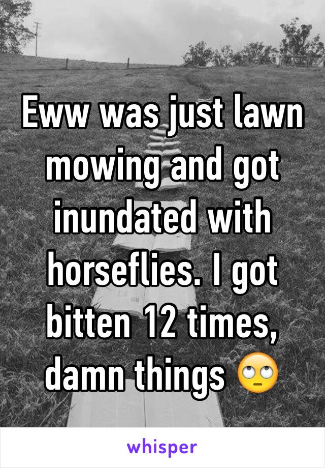 Eww was just lawn mowing and got inundated with horseflies. I got bitten 12 times, damn things 🙄