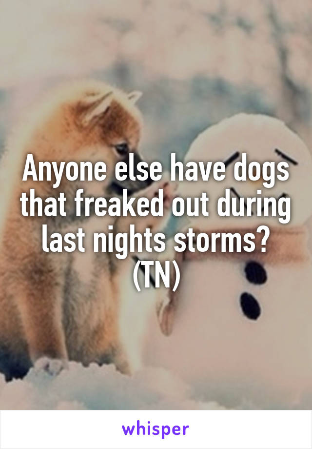 Anyone else have dogs that freaked out during last nights storms?
(TN)