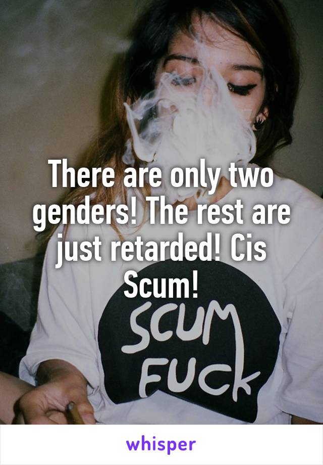 There are only two genders! The rest are just retarded! Cis Scum!