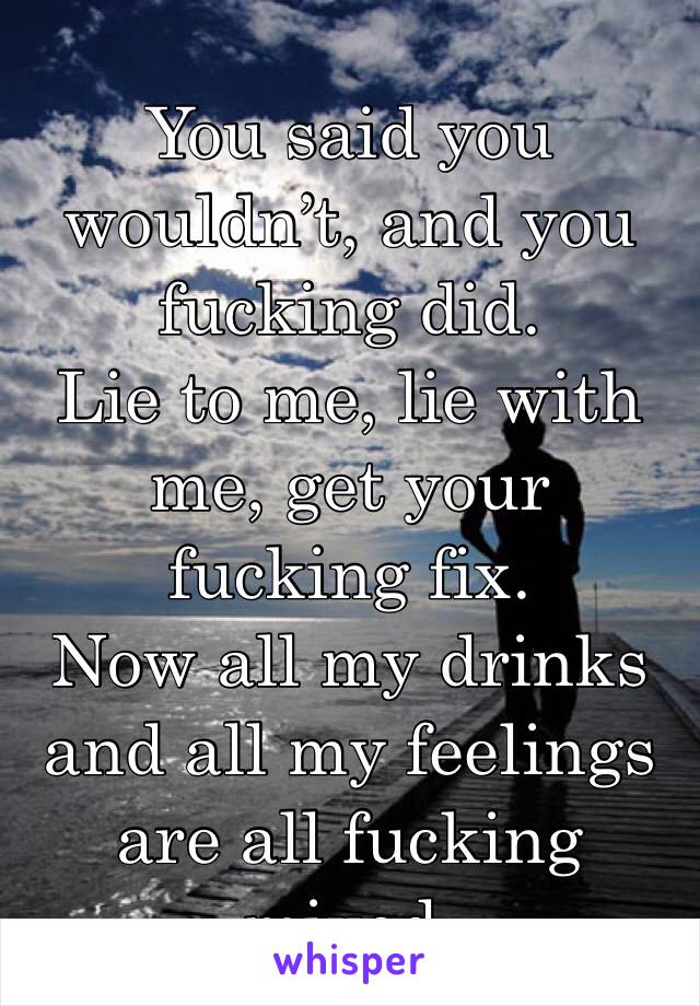 You said you wouldn’t, and you fucking did.
Lie to me, lie with me, get your fucking fix.
Now all my drinks and all my feelings are all fucking mixed.