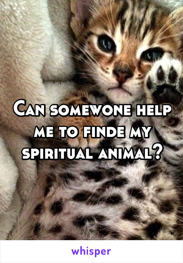 Can somewone help me to finde my spiritual animal?