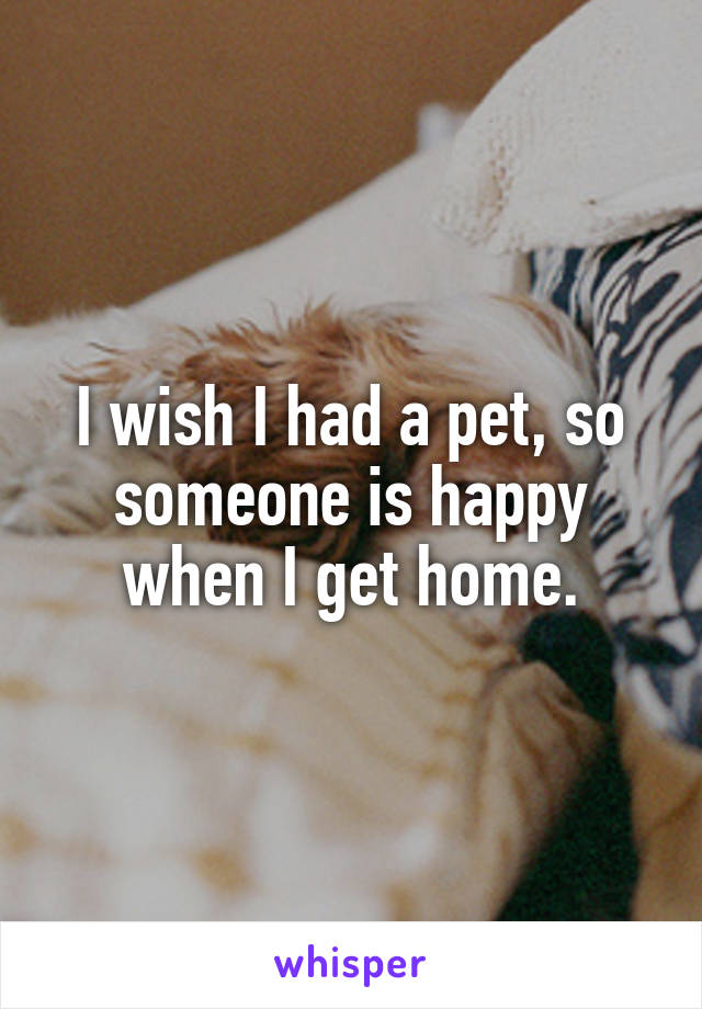 I wish I had a pet, so someone is happy when I get home.