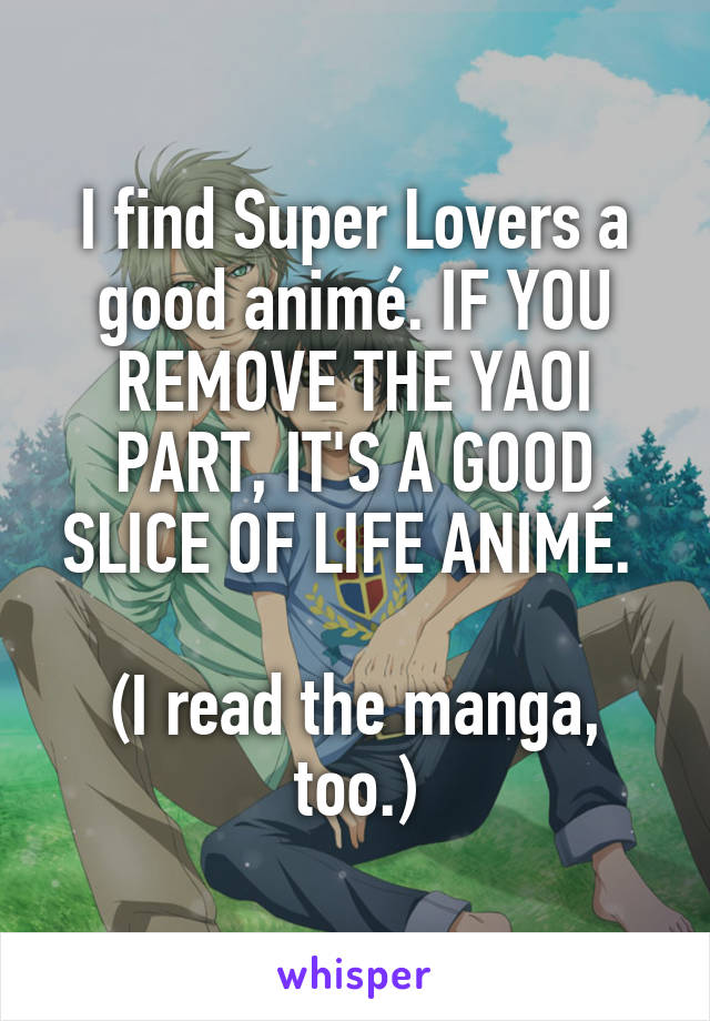 I find Super Lovers a good animé. IF YOU REMOVE THE YAOI PART, IT'S A GOOD SLICE OF LIFE ANIMÉ. 

(I read the manga, too.)