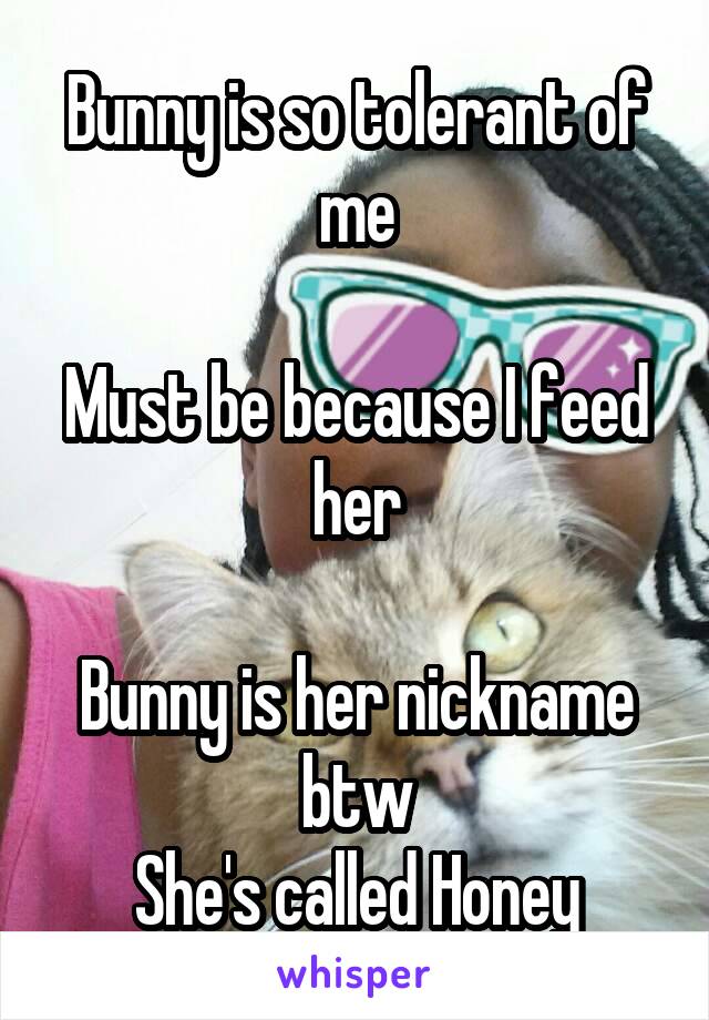 Bunny is so tolerant of me

Must be because I feed her

Bunny is her nickname btw
She's called Honey