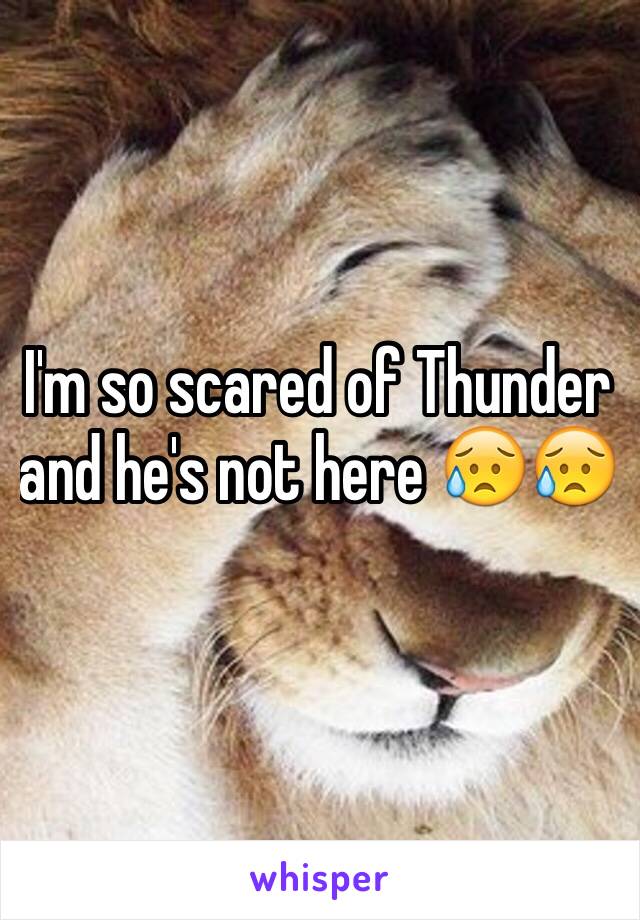 I'm so scared of Thunder and he's not here 😥😥 