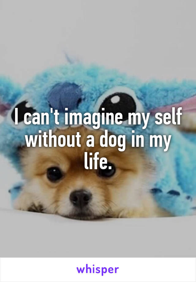 I can't imagine my self without a dog in my life.