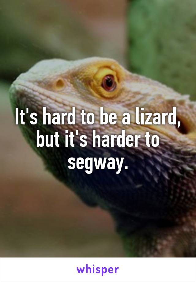 It's hard to be a lizard, but it's harder to segway.