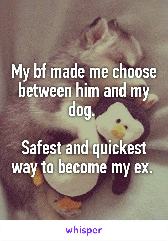 My bf made me choose between him and my dog. 

Safest and quickest way to become my ex. 