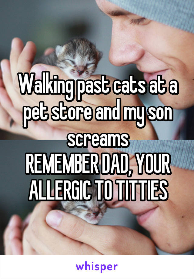Walking past cats at a pet store and my son screams
REMEMBER DAD, YOUR ALLERGIC TO TITTIES